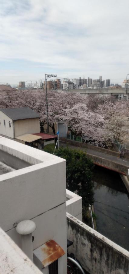 Cherry Blossom Koseicho Okayama Bagian luar foto